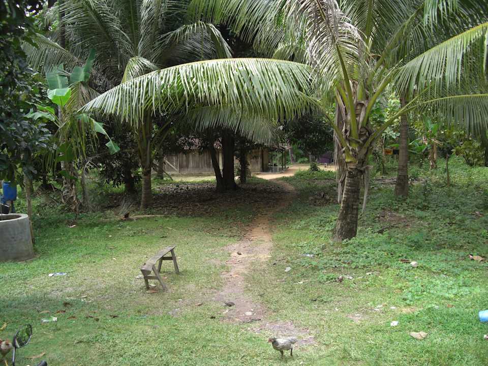 Großer Garten mit Hängematte Homestay Pondok Bintang Karimunjawa