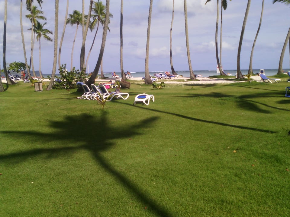 Nicht nur Sand war top aber,besonderes schönes Rasenteppich Wyndham Alltra Samana