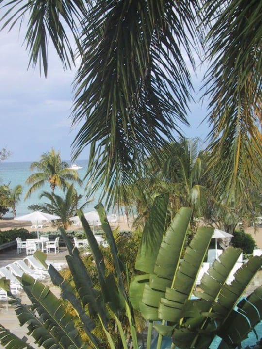 Gartenanlage Couples Negril - Adults only