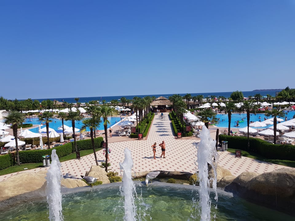 Pool DIT Majestic Beach Resort