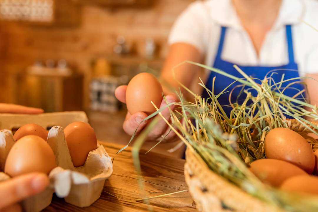 Sonstiges Grossplonerhof