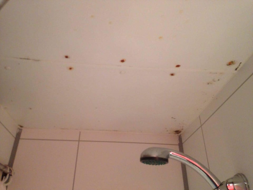 Die Dusche Botel Racek