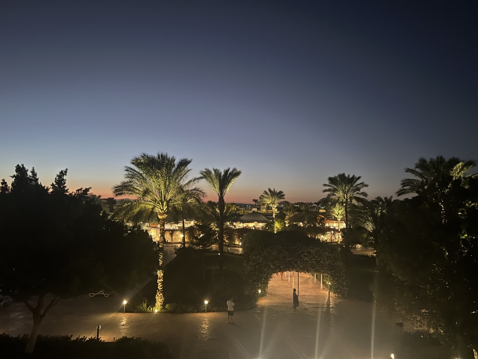 Gartenanlage Desert Rose