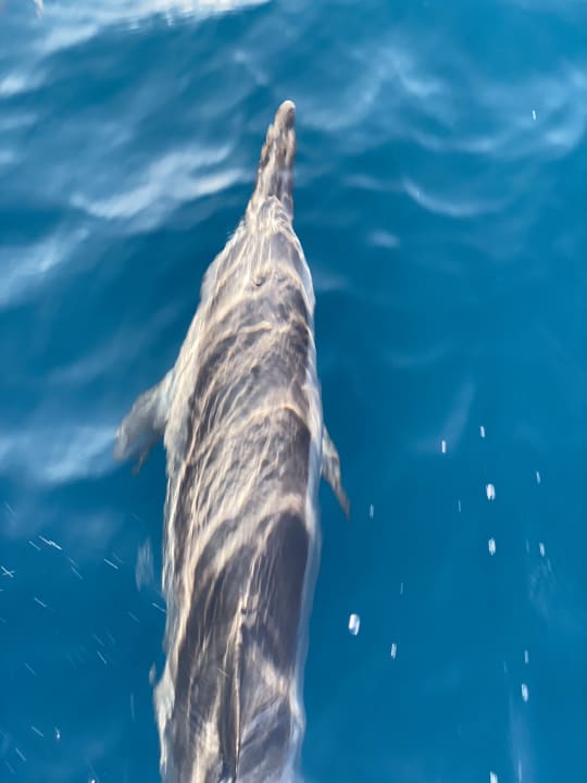 Sport & Freizeit Cinnamon Hakuraa Huraa Maldives