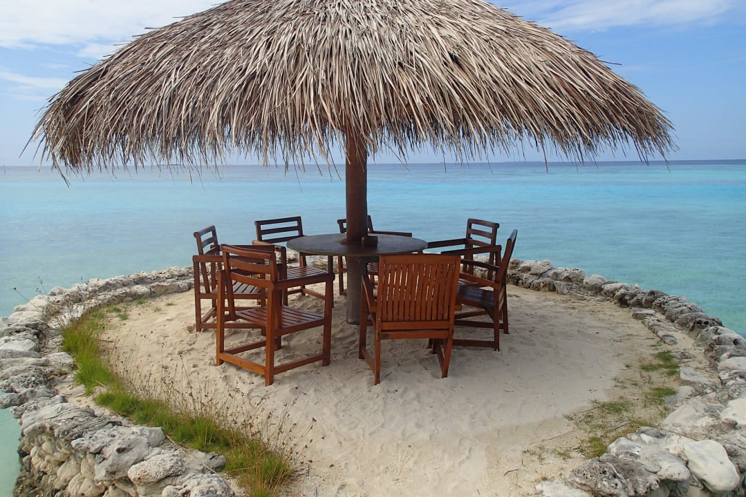 Da haben wir unseren ersten Hai gesehen Filitheyo Island Resort