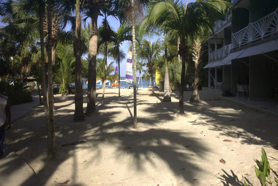 Blick zum Meer mit Segelmöglichkeiten Couples Negril - Adults only