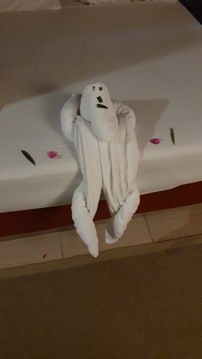 Zimmer Jaz Makadi Oasis Resort