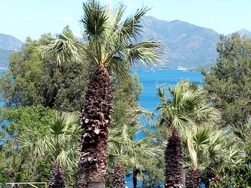 Ausblick Labranda Mares Marmaris