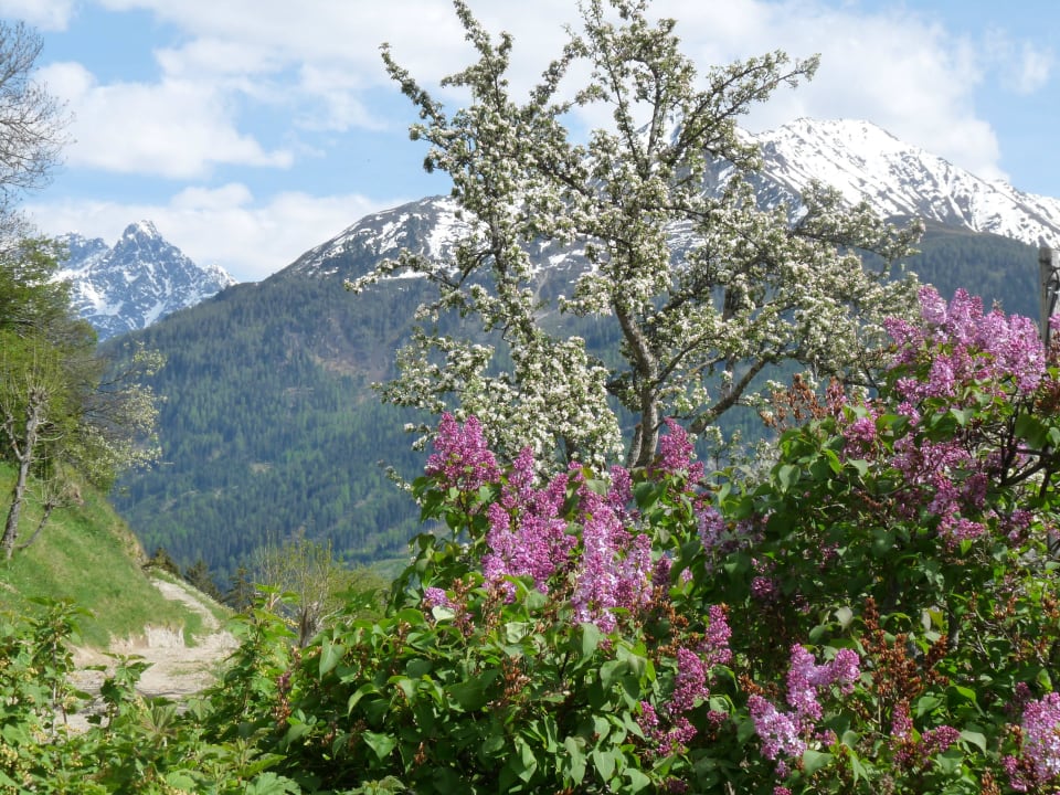 Frühlingserwachen Biohof - Inntalblick