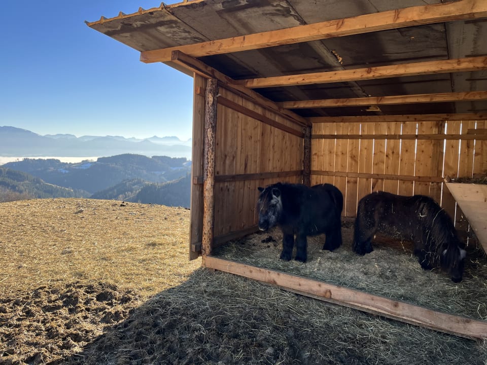 Sport & Freizeit Familien Resort Petschnighof - Familotel Kärnten