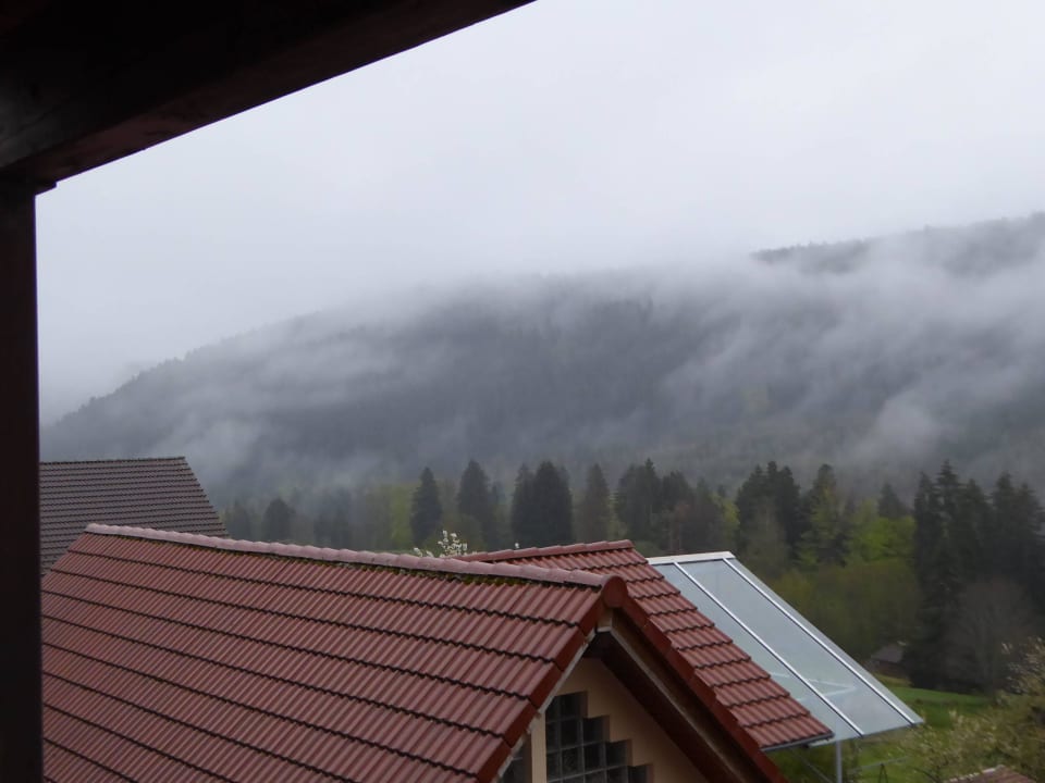 Blick auf den Schwarzwald Schwarzwaldhotel-Gasthof Hirsch