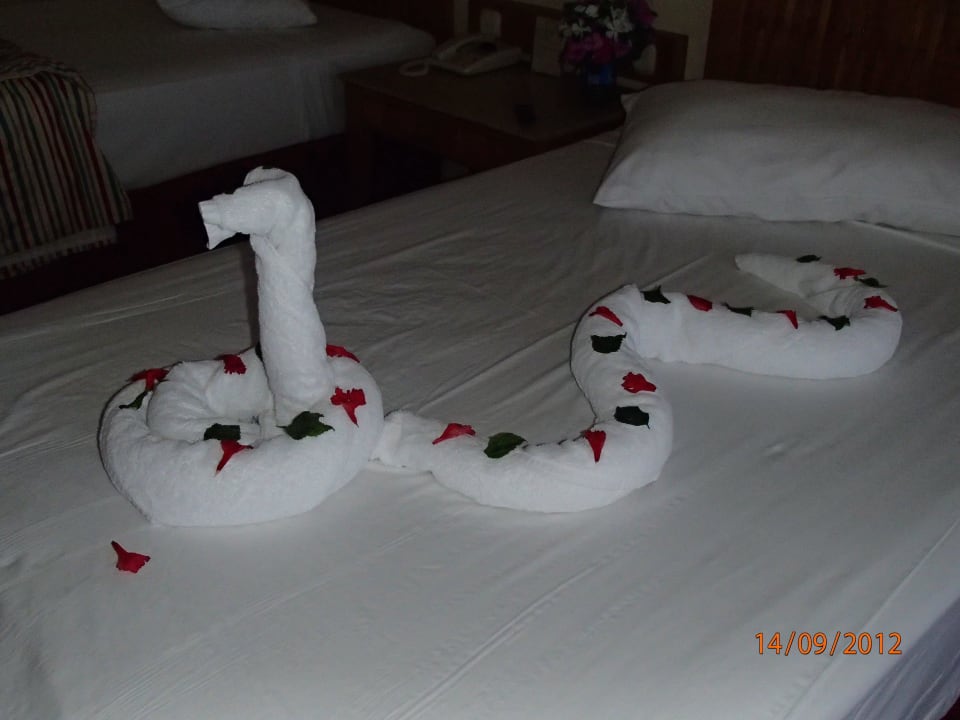 Die Schlange im Bett Pickalbatros Royal Grand Resort - Sharm El Sheikh