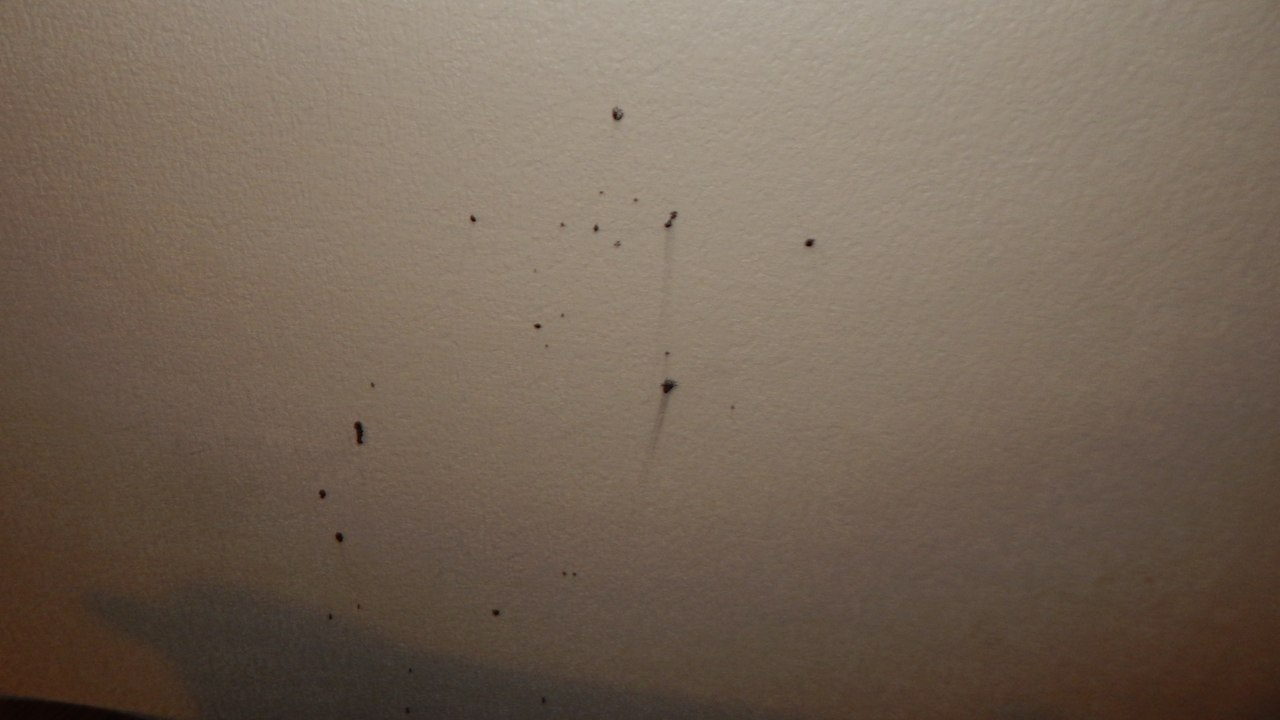 Zimmer Hotel Quality Inn Kingman