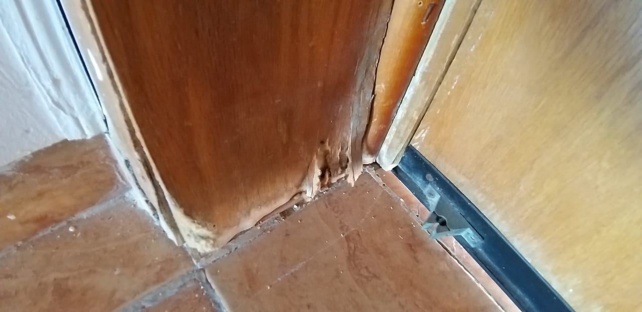 Zimmer Pensée Royal Garden Beach Resort