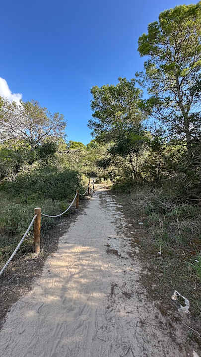 Sonstiges allsun Hotel Bahia del Este