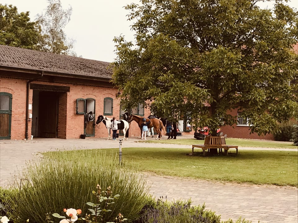 Gartenanlage Flair Seehotel Zielow