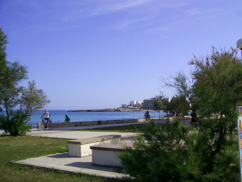 Hoel Ausgang zum Strand Hotel Palia Sa Coma Playa