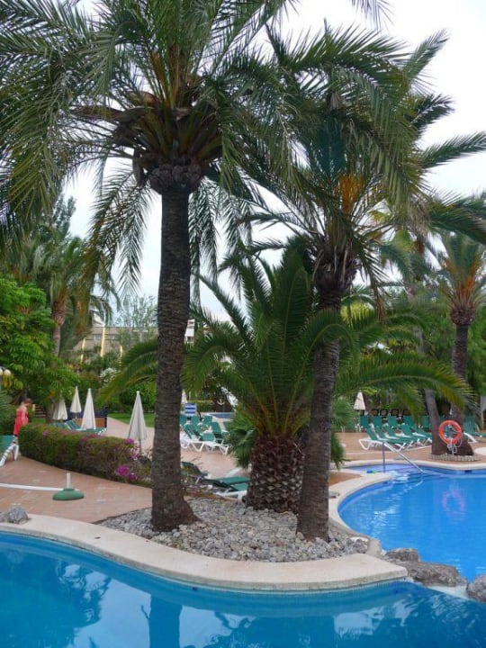 Piscine Zafiro Palmanova