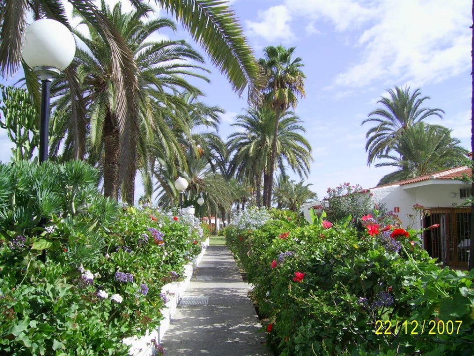 Gartenanlage HL Miraflor Suites Hotel