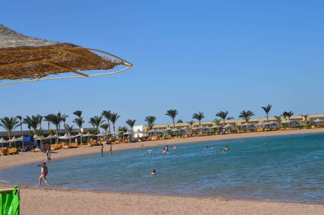 Best for kids Desert Rose