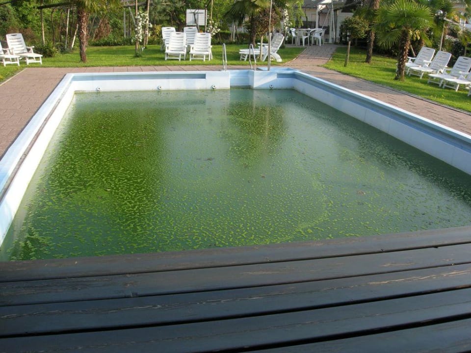 Der Pool Pension Rechtenthal