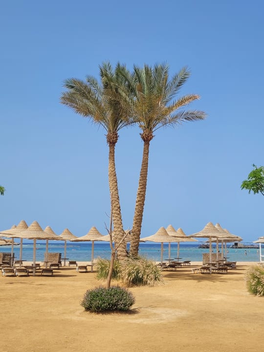 Strand Steigenberger Coraya Beach - Adults only