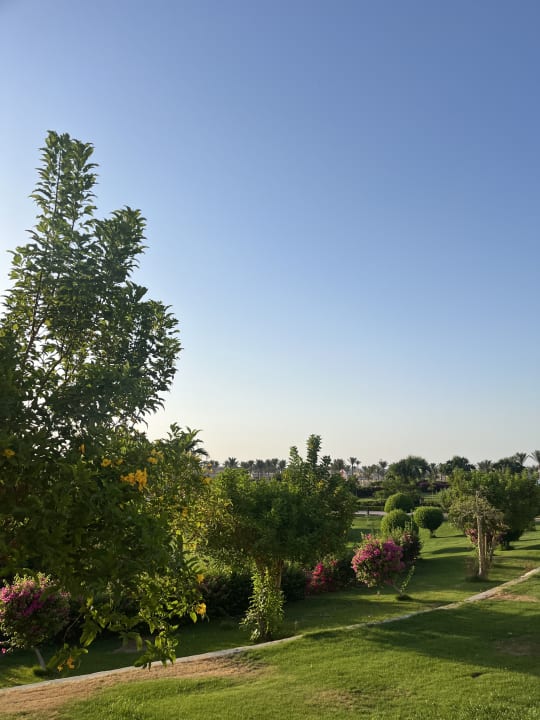 Gartenanlage Cleopatra Luxury Resort Makadi Bay