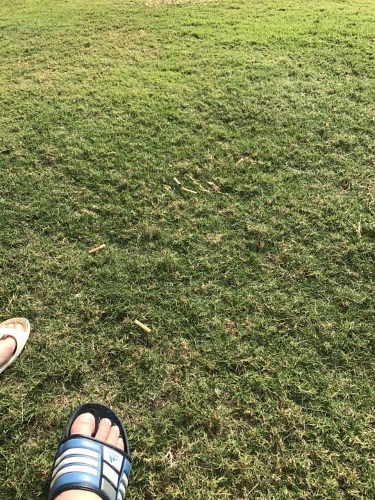 Sonstiges Dukes The Palm Dubai Hotel