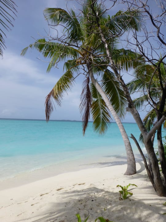 Lagunenseite Kuramathi Maldives