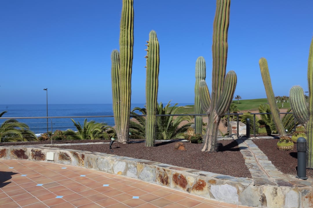 Ausblick H10 Playa Meloneras Horizons Collection