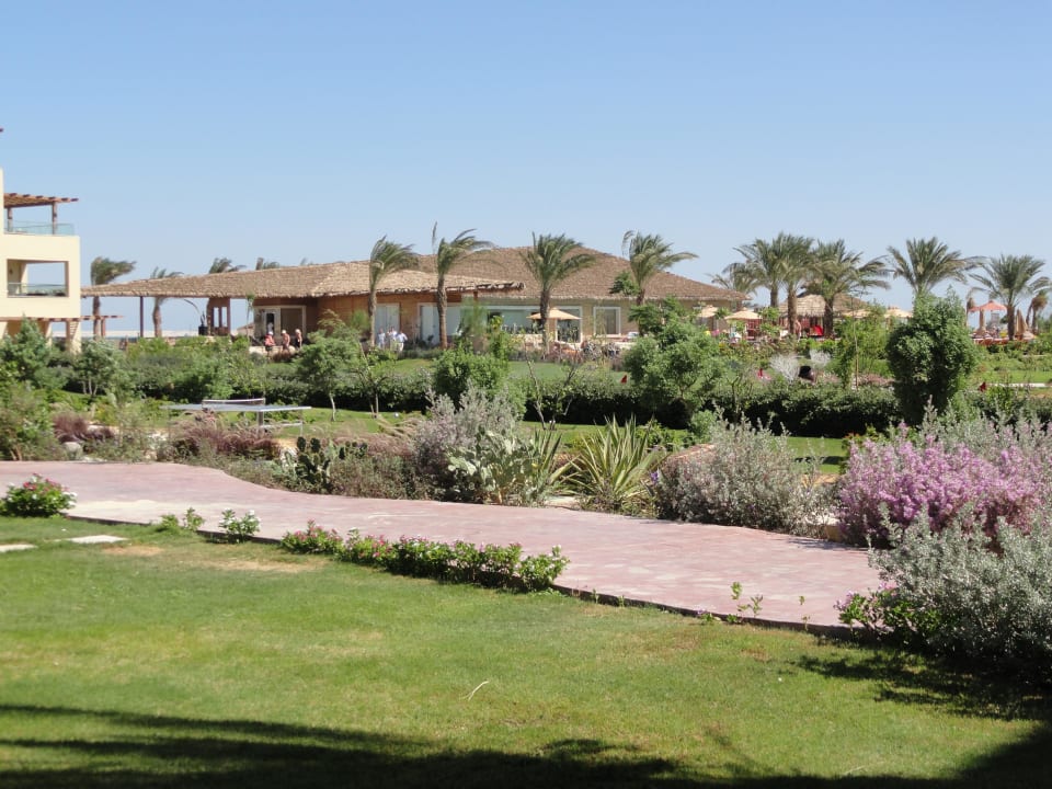 Ogród oraz budynek SPA w tle Amwaj Beach Club Abu Soma Resort