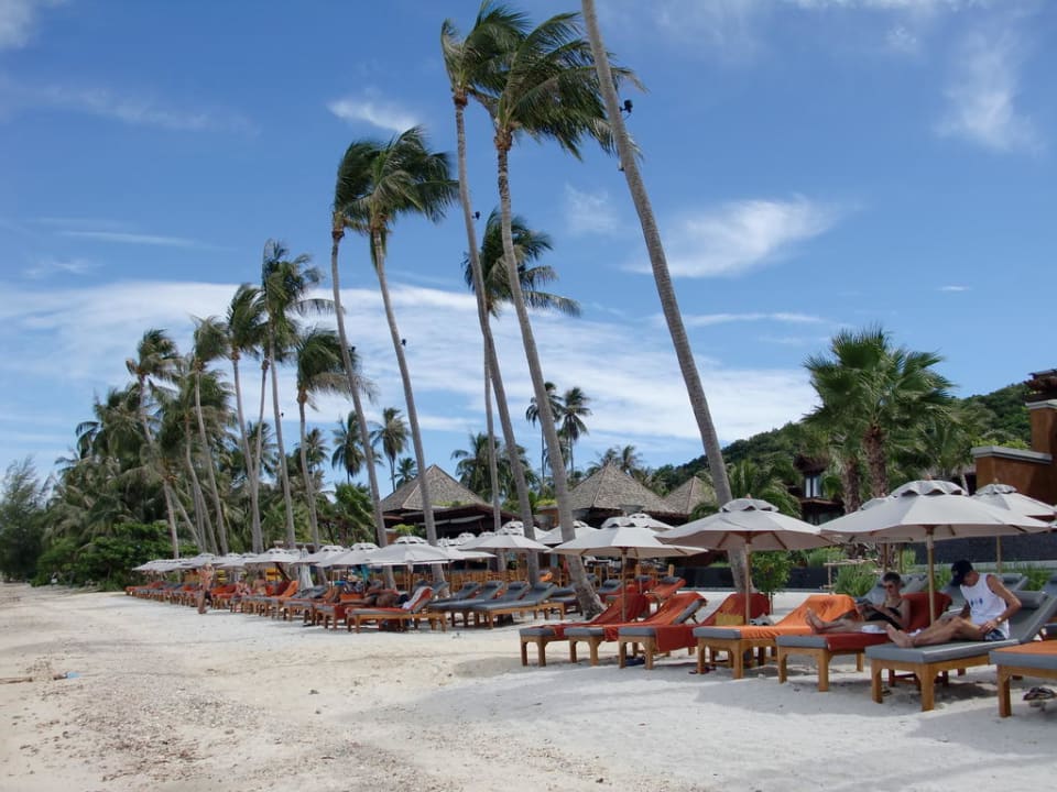 Hotelstrand mit herrlichen Liegen Hotel Mai Samui Beach Resort & Spa