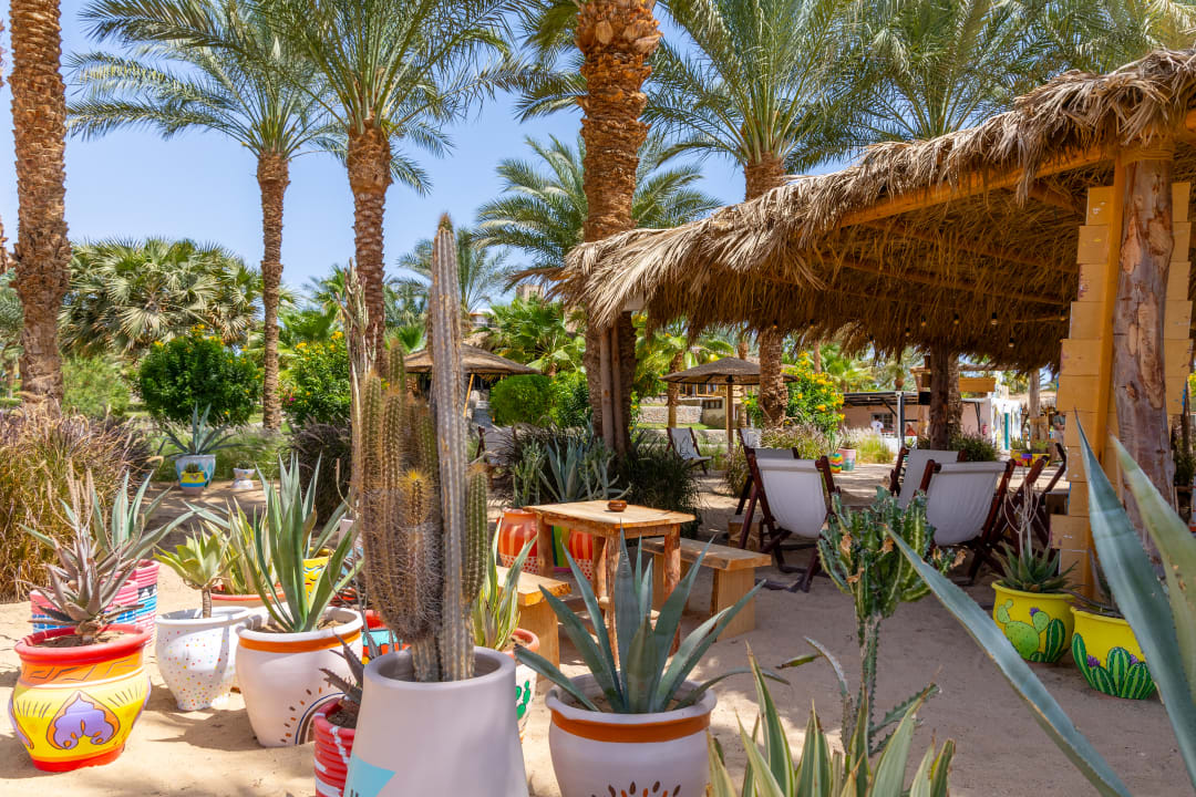 Gastro Fort Arabesque Resort, Spa & Villas
