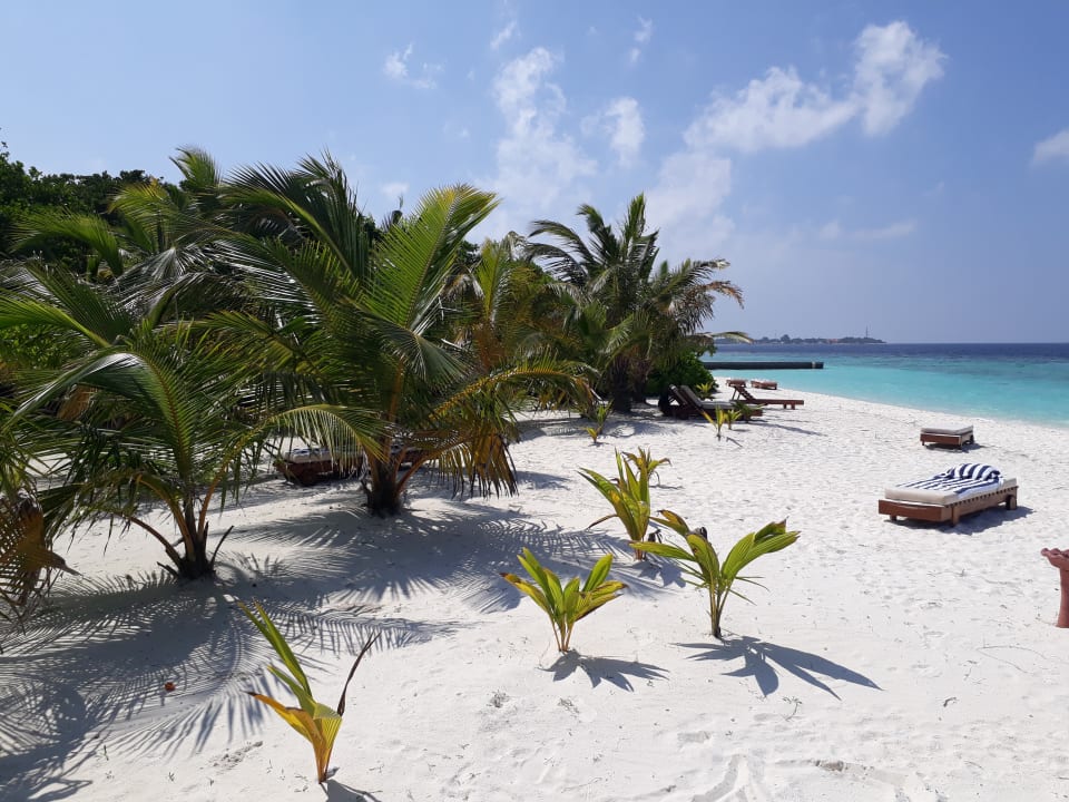 Voll! Adaaran Select Meedhupparu Island Resort - Premium All Inclusive