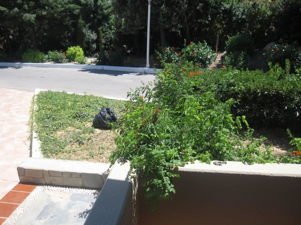 Zimmersuablick alltoura Club Hotel Porto Angeli Beach Resort