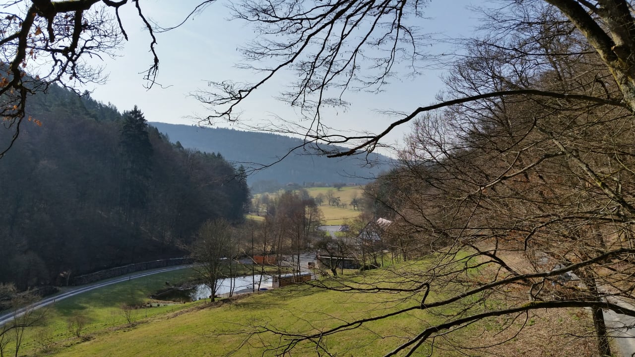 Ausblick Baumhaushotel Seemühle