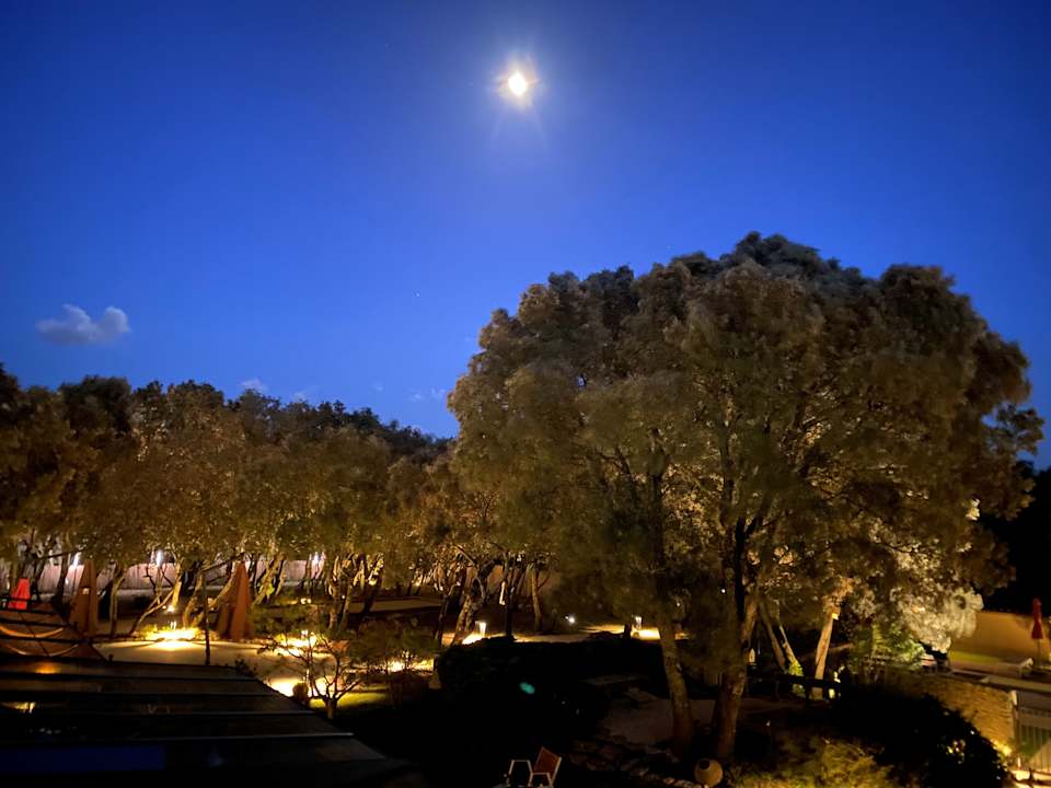 Gartenanlage Hotel La Bastide De Grignan