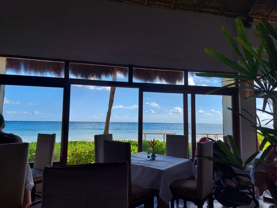 Gastro Akumal Bay Beach & Wellness Resort