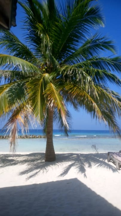 Palme Kuredu Island Resort & Spa