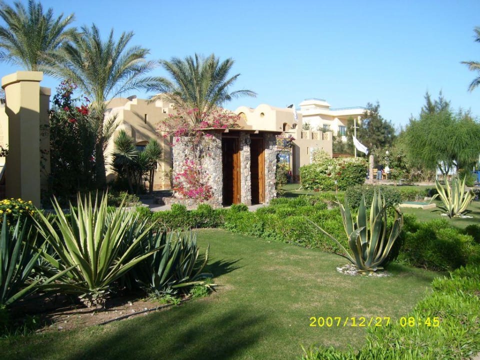 Toiletten Jaz Makadina