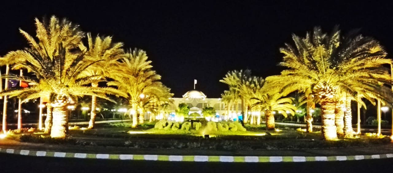 Sonstiges Desert Rose