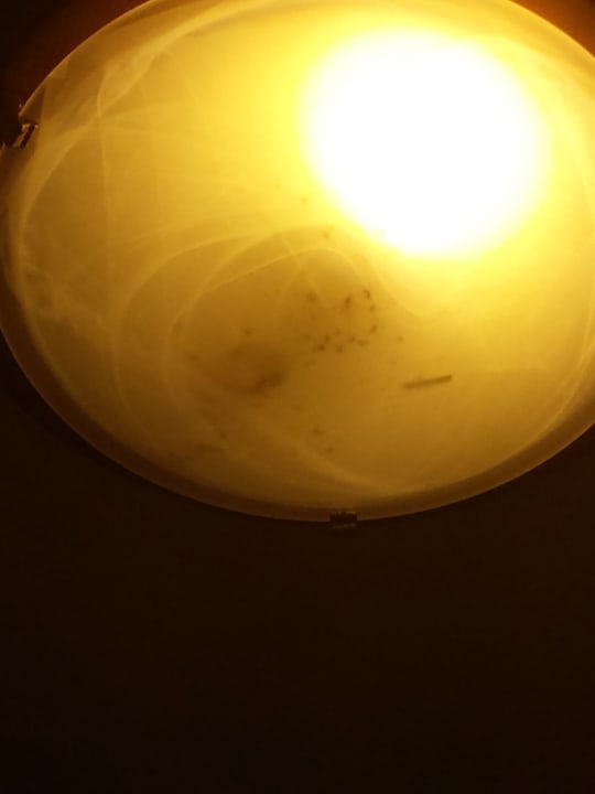 Tot in der Lampe Sandy Beach Resort