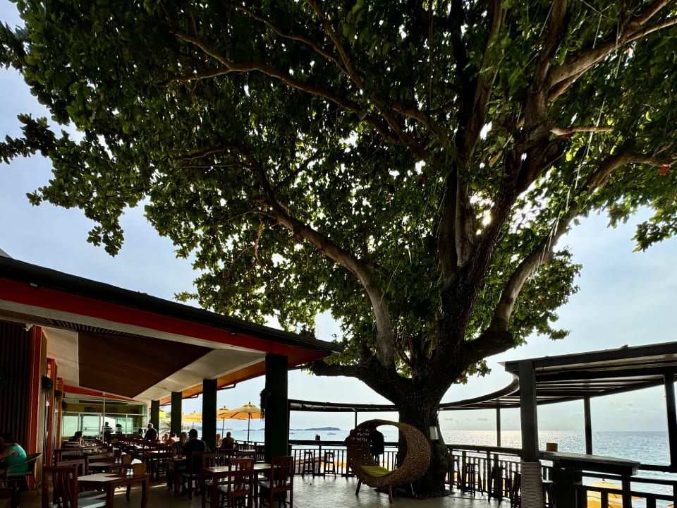 Gastro Chaweng Cove Beach Resort