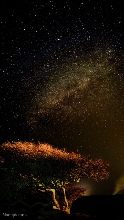 Ausblick Shams Alam Beach Resort