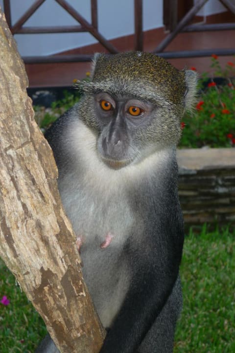 Hast du was für mich? Neptune Village Beach Resort & Spa