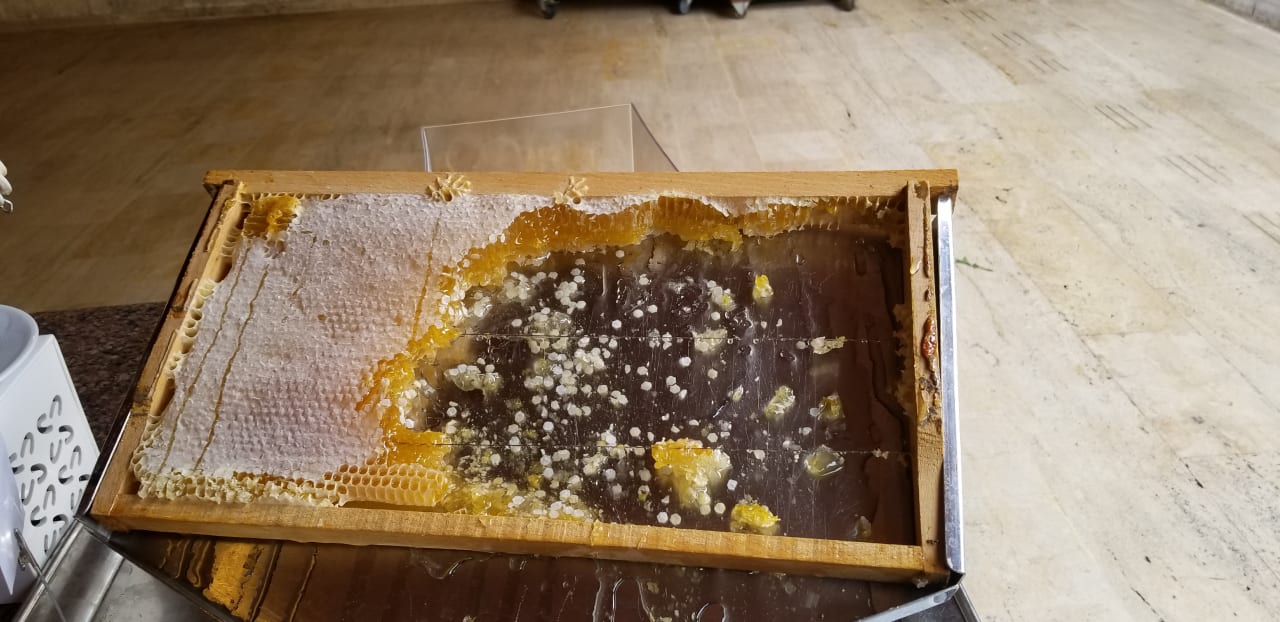 Gastro Labranda Alantur Resort