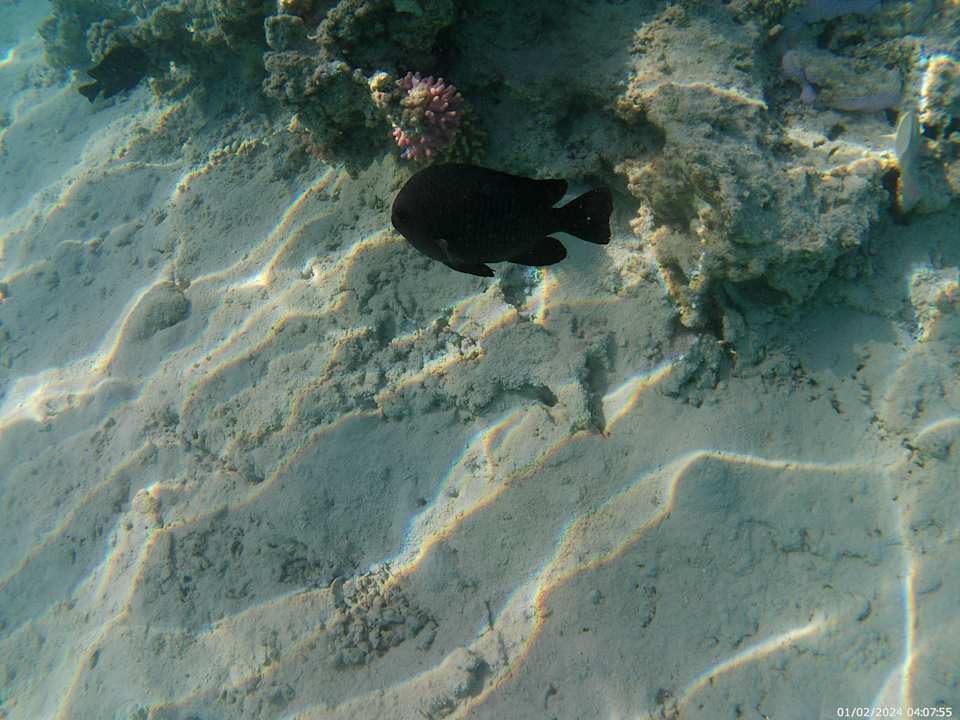 Strand The V Luxury Resort Sahl Hasheesh