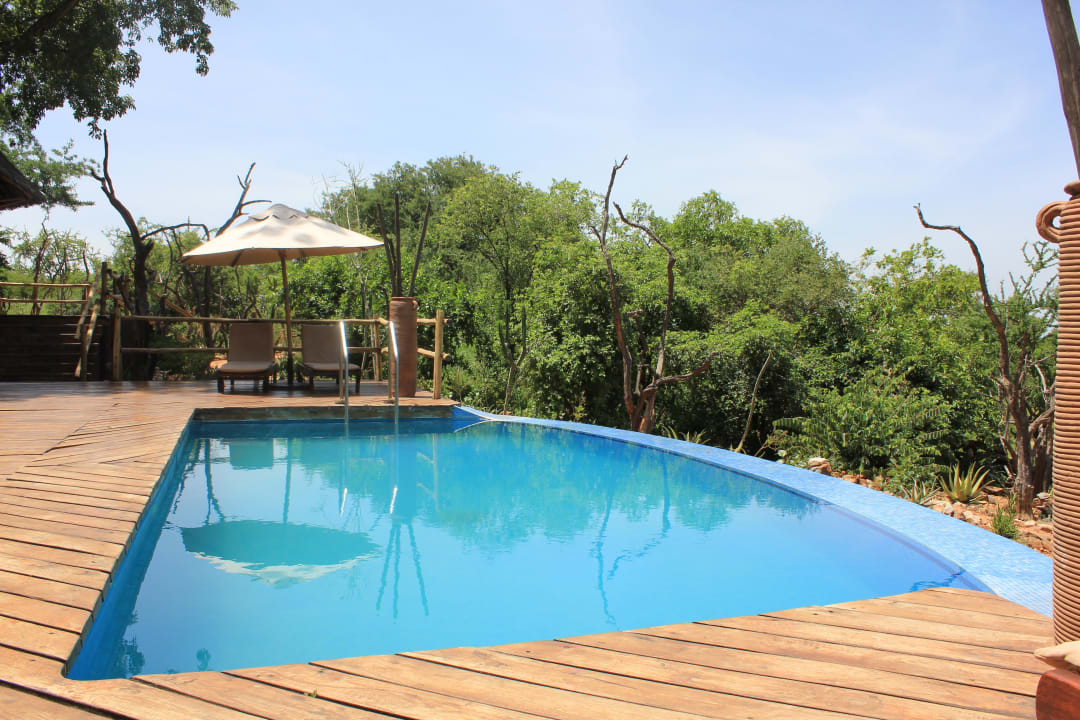 Pool Hotel Tarangire Treetops