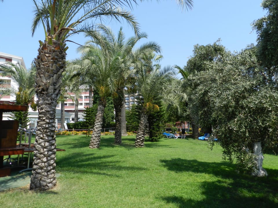 Weg zum Strand Seher Kumköy Star Resort & Spa