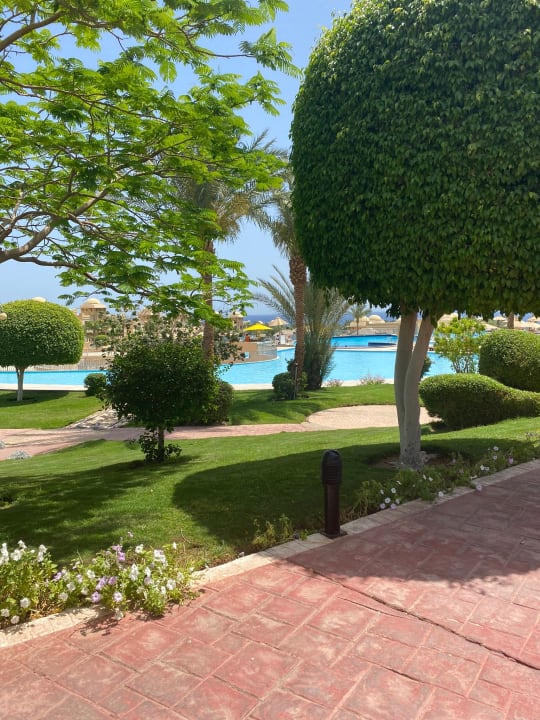 Pool Serenity Alpha Beach